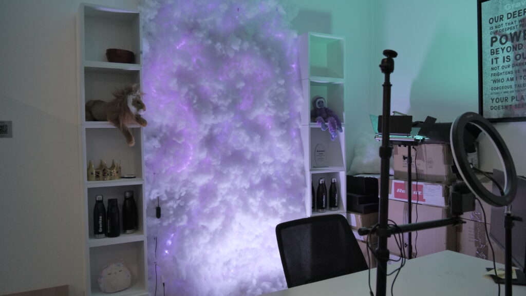 TikTok LIVE studio setup