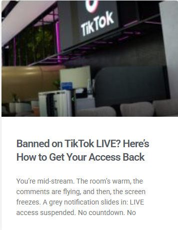 TikTok bans article
